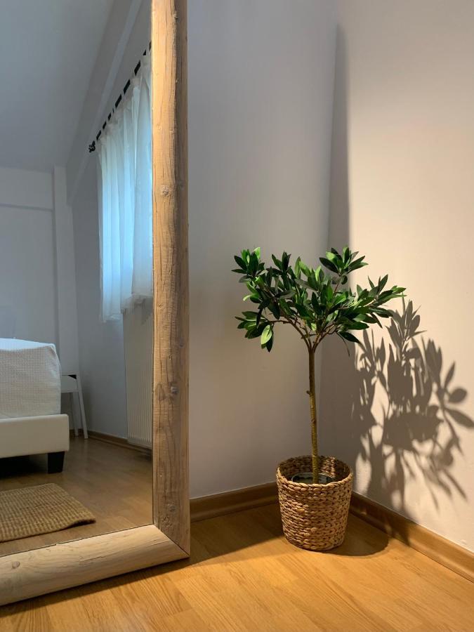 Casa Brucie - New Stylish Apartment In Corfu! Kanálion Екстериор снимка